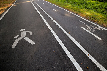A Clear View Of A Divided Pathway For Pedestrians And Cyclists In A Lush Urban Park Setting.