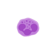 Neutrophil illustration