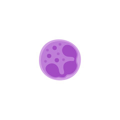 Neutrophil illustration