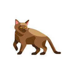 Brown Cat Illustration in Flat Style