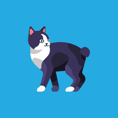 Black and White Bobtail Cat Vector on Blue Background