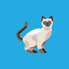 Siamese Cat Vector Illustration on Blue Background