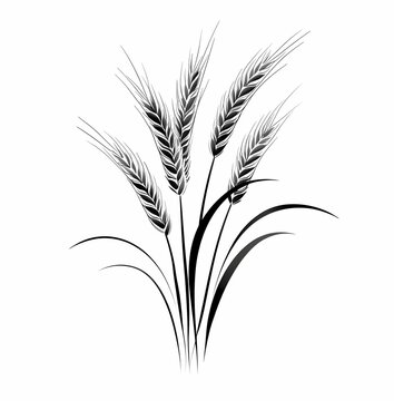 recommend clip art: Black and White Wheat Ears Illustration