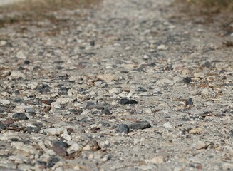  Road of grey gravel
