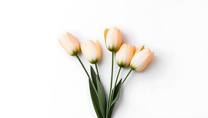 bunch flowers isolated white background