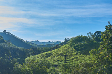 Naklejka premium Green forest and mountains accompanied by white clouds and blue sky in the background