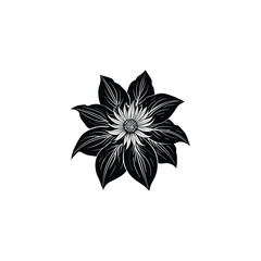 monochrome flower