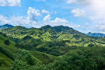 Naklejka premium Green mountains with blue sky and clouds, hills with trees, leaves on top