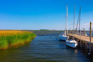 Insel Rügen Hafen Zicker am Zicker See | Mönchgut Landschaft Naturpark Urlaub Ferien Mecklenburg Vorpommern Landschaft an der Ostsee | Sommer Sommerzeit jolle kleiner stiller Hafen mit Holzsteg Norden