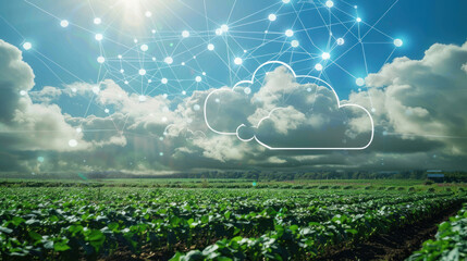 A guide to adopting cloud solutions in agriculture, focusing on improving crop management, resource allocation, and sustainability.