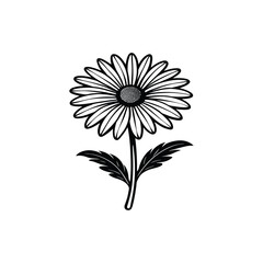 Sunflower vector icon symbol