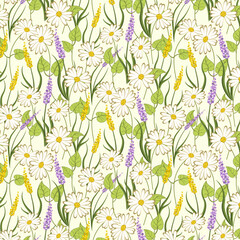 Pattern with a meadow of flowers.Vector seamless pattern with wild and meadow flowers.