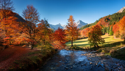 Obraz premium Autumn in the Bavarian Forest