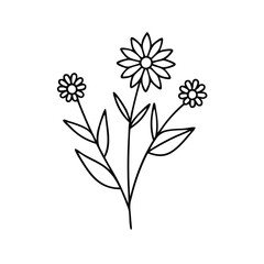 flowers vector with white background
