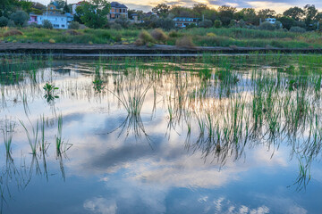 The flooded shore of the Caspian Sea
