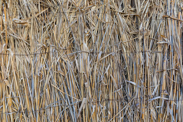 Thatched gazebo on the Caspian Sea beach