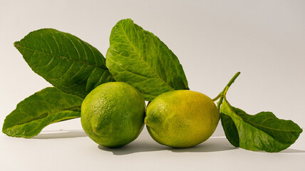 Freshly picked lemons with leaves on white background.