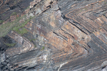 Folded strata at Millook Haven Cornwall