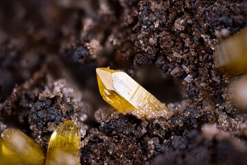Yellow Mimetite crystals on Dolomite. Specimen from Potosí Mine, Aquiles Serdán, Mexico. Micro...