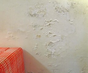 Plaster wall damaged by rising damp
