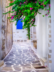 Idyllic white Greek street with bouganvillea flowers and blue window, Paros island