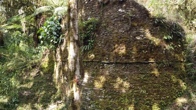 PAXAMARCA VIDEO DE LA CIUDAD PERDIDA - PIRCAPAMPA