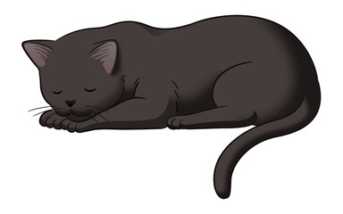 眠る黒猫