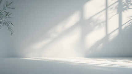 White Studio Background with Soft Lighting