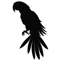 Obraz premium a parrot black silhouette vector illustration,