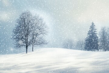 Fototapeta premium Serene Winter Landscape Scene with Snowfall