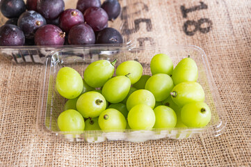 シャインマスカット