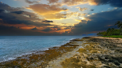 a beautiful landscape along the coast of Oahu with blue ocean water, rocks, lush green palm trees and hotels at the Ko Olina Resort in Kapolei Hawaii USA
