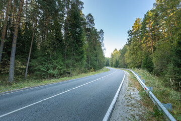 A road with trees on both sides and a clear blue sky