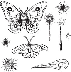 Obraz premium Line Set Witch item Halloween Clip art set Magic wand drawing skull outline moth butterfly contour witch cauldron broom Hand drawn design element illustration Occult Symbol graphic animal skull grung