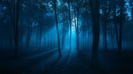 Fototapeta premium Creepy Dark Forest Horror Background Full of Fear