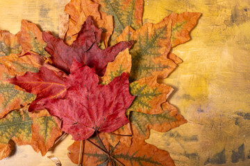 Autumn Leaves with reds, yellows and green tones