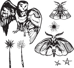 Line Set Witch item Halloween Clip art set Magic wand drawing insect outline moth butterfly contour Owl bird illustration Hand drawn design element Occult Symbol graphic animal silhouette ink grunge