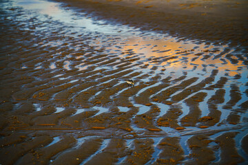 Peaceful beach scene at sunset with soft waves and glowing light.