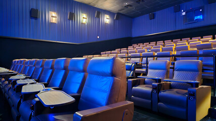 Movie Theatre Luxury Seating Low Light