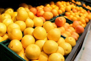 Citrus fruits at grocery store. Pile of lemons, grapefruits, and oranges in crates. Stacked fruits...