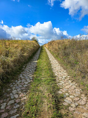 Obraz premium pathed farm track at the countryside during autumn