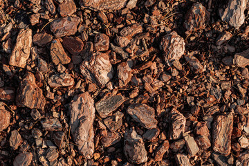 Close-up of textured pine bark mulch in various shapes and sizes, spread evenly on the ground, creating a natural, rustic outdoor surface.

