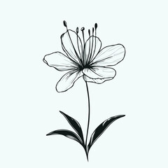 set of flowers vector
illustration of a flower
black and white flower