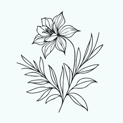 Adobe Illustrator Artwork
set of flowers vector
illustration of a flower
black and white flower