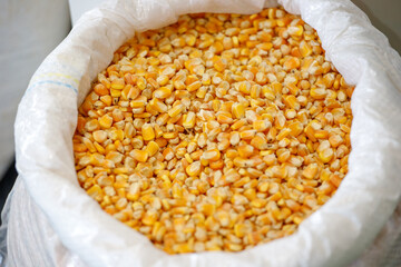 bag full of corn at a production cooperative in Rio de Janeiro.