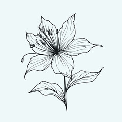 Obraz premium Adobe IllAdobe Illustrator Artwork set of flowers vector illustration of a flower black and white flowerustrator Artwork