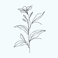 Adobe Illustrator Artwork
set of flowers vector
illustration of a flower
black and white flower