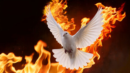Fototapeta premium A white dove in mid-flight, its wings fully spread out. The dove is surrounded by vibrant flames, creating a striking contrast between the serene bird and the intense fire. 