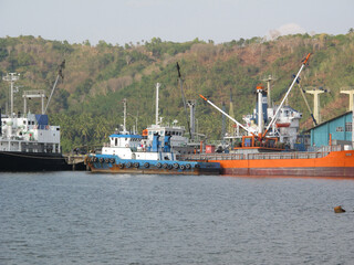 A large industrial cargo ship anchored in calm waters under a bright blue sky. The ship, with its...