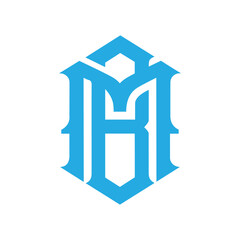 Bm letter logo design vector for any company 